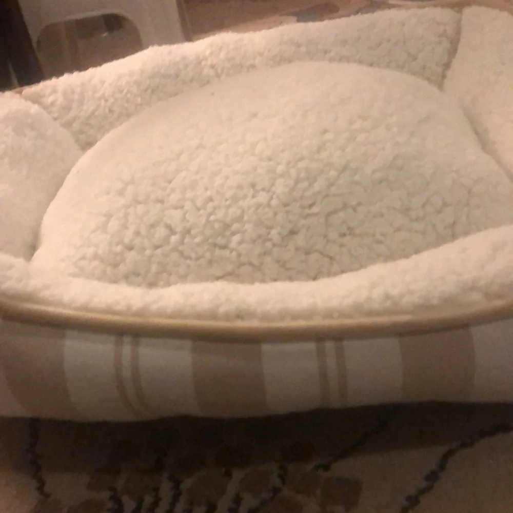 Brand new pet bed